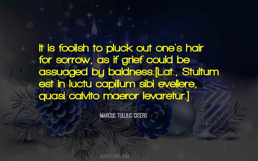 Quotes About Baldness #112319