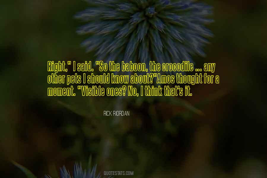 Quotes About Pets #1080252