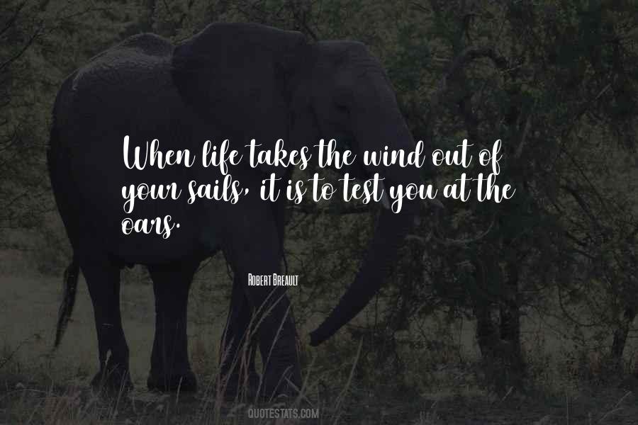 Adversity Of Life Quotes #742297