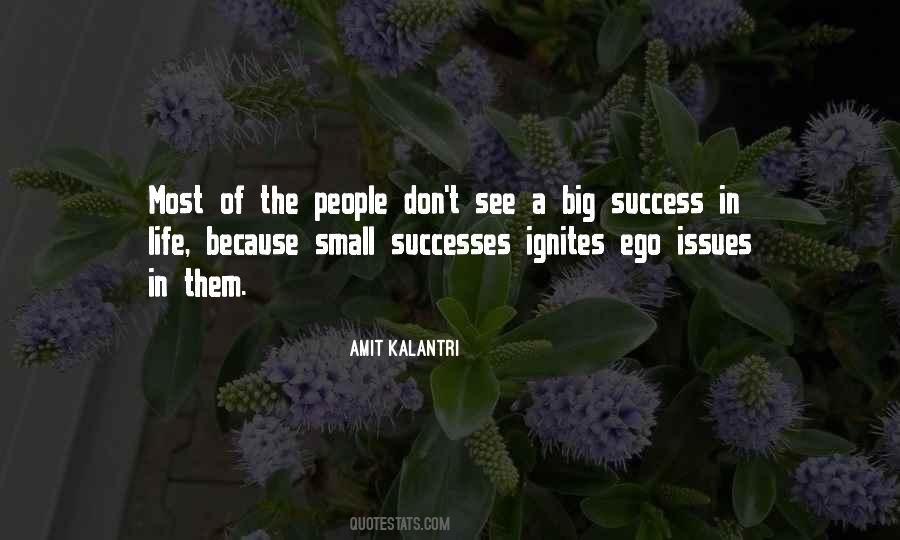 Big Success Quotes #105555