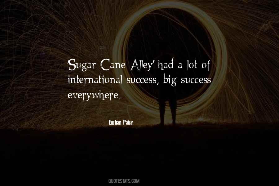 Big Success Quotes #716161