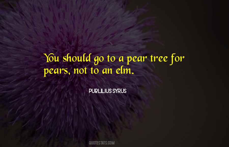 Quotes About Pear #1000720