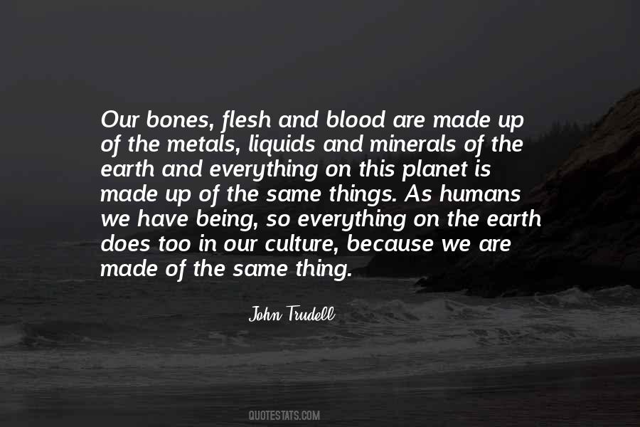 Quotes About Flesh And Blood #869417