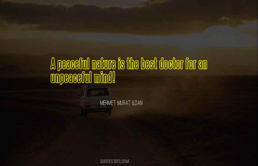 Turkish Wisdom Words Quotes #1672927