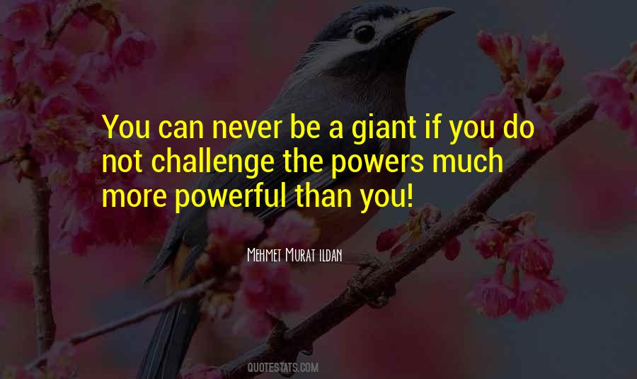 Turkish Wisdom Words Quotes #745535