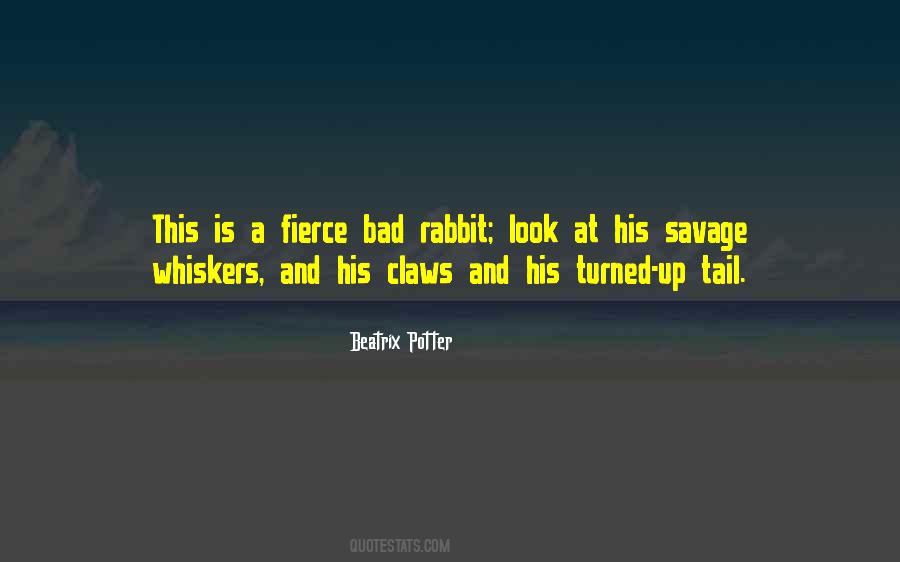 Quotes About Bunnies #560298