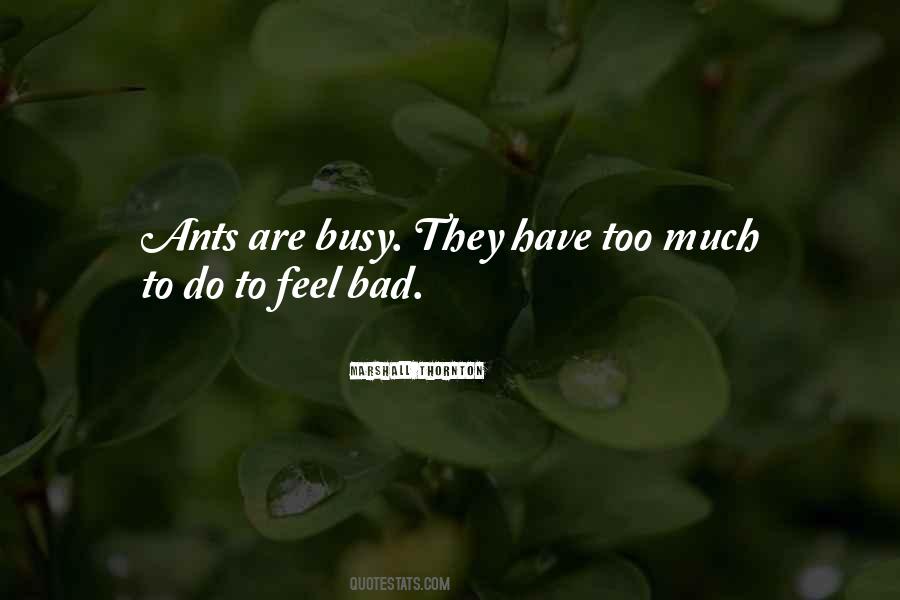 Quotes About Too Much To Do #1588638