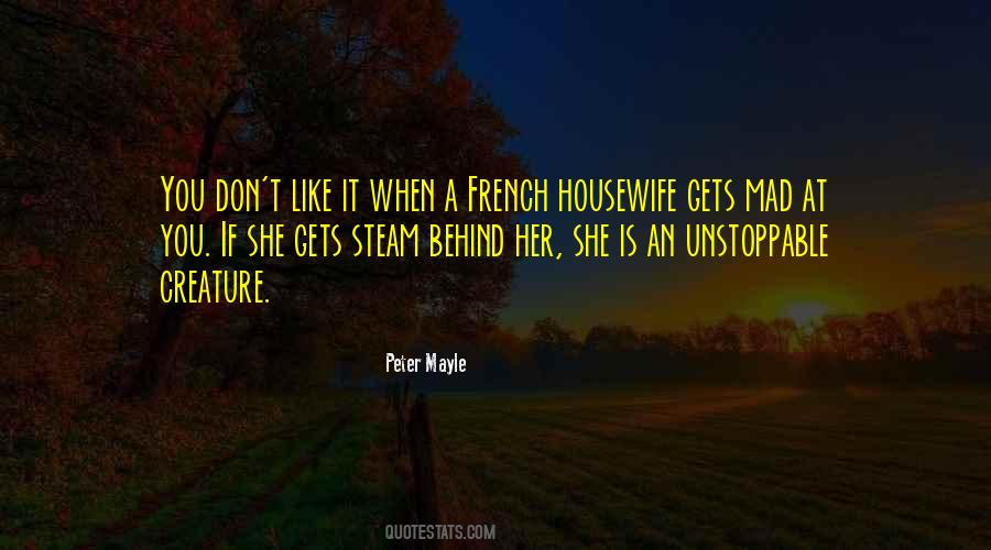 Quotes About A Housewife #409727