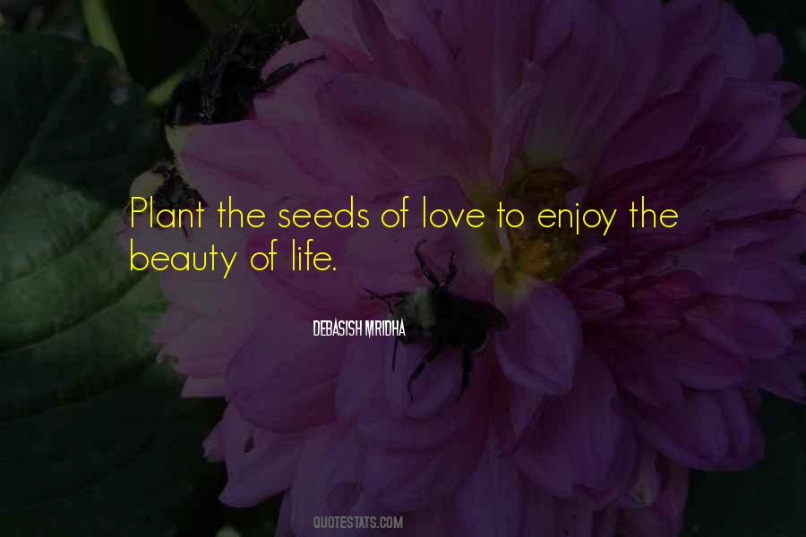 Enjoy The Beauty Of Love Quotes #736416