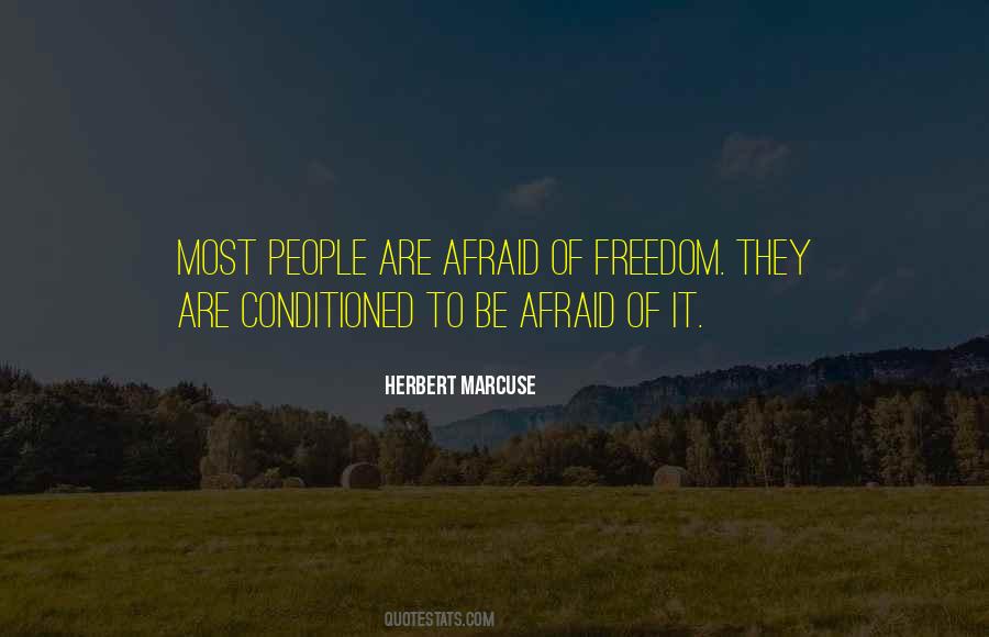 Quotes About Being Conditioned #603933 Quotes About Being Conditioned #603933