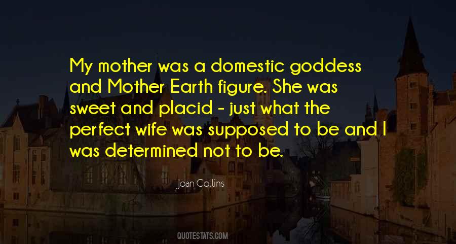 Perfect Mother Quotes #1773136