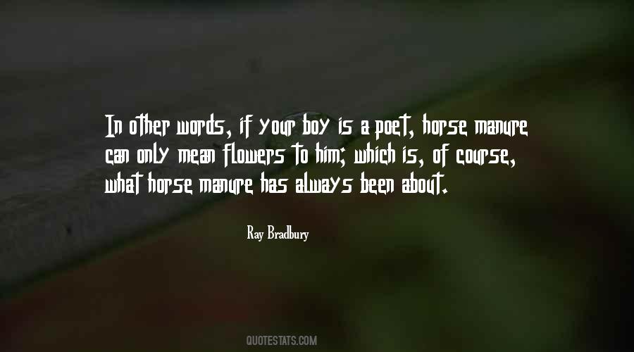 Horse And His Boy Quotes #218246