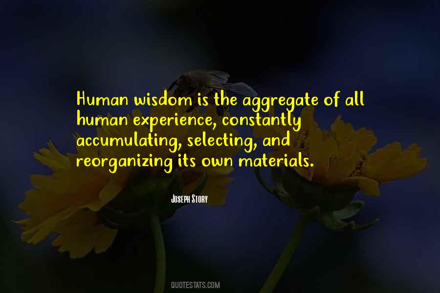 Human Wisdom Quotes #212681