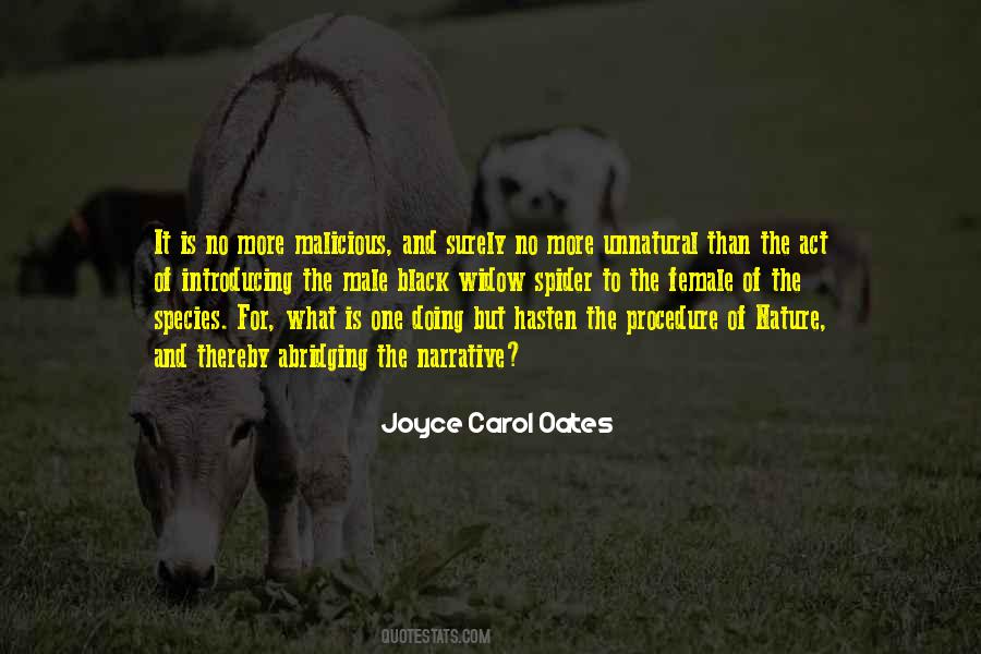 Khadija Mastoor Quotes #370478
