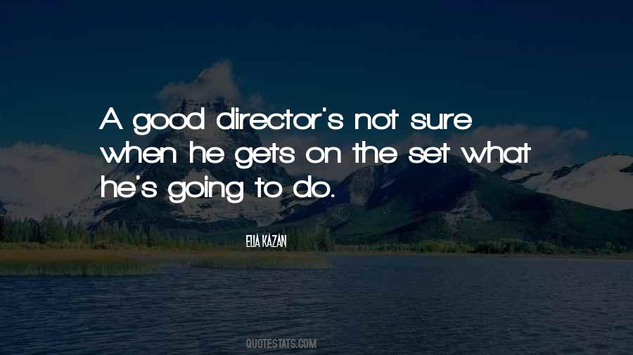 Quotes About Not Sure What To Do #708230