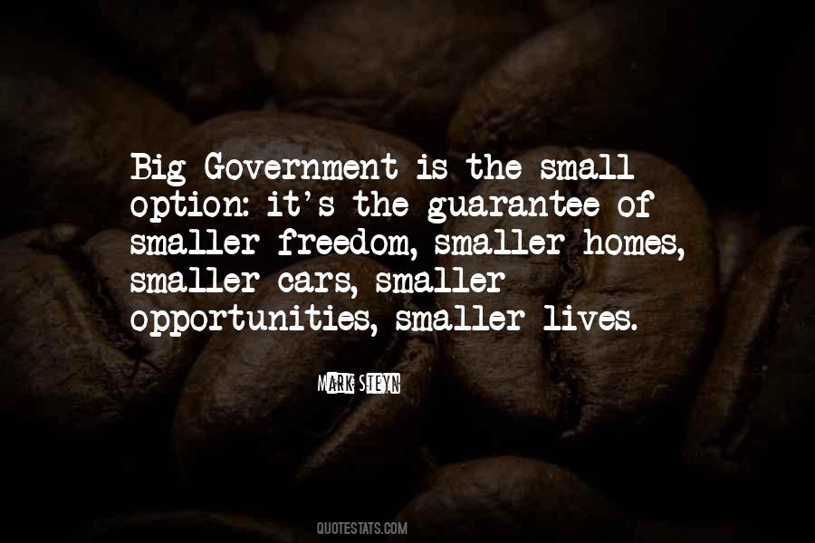 Quotes About Smaller Government #205539