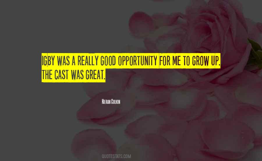 Good Opportunity Quotes #525627