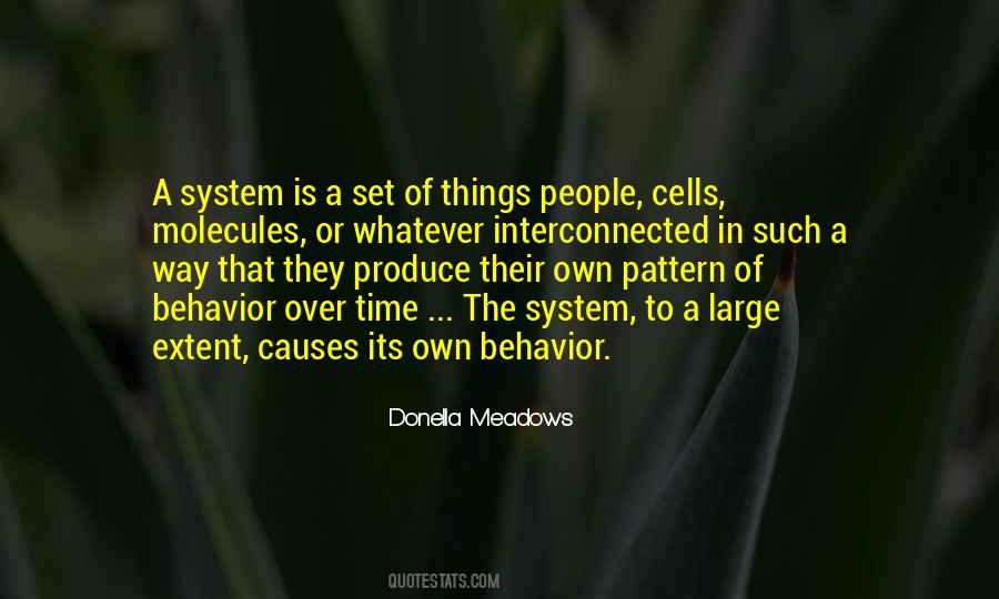 Quotes About Patterns Of Behavior #970014