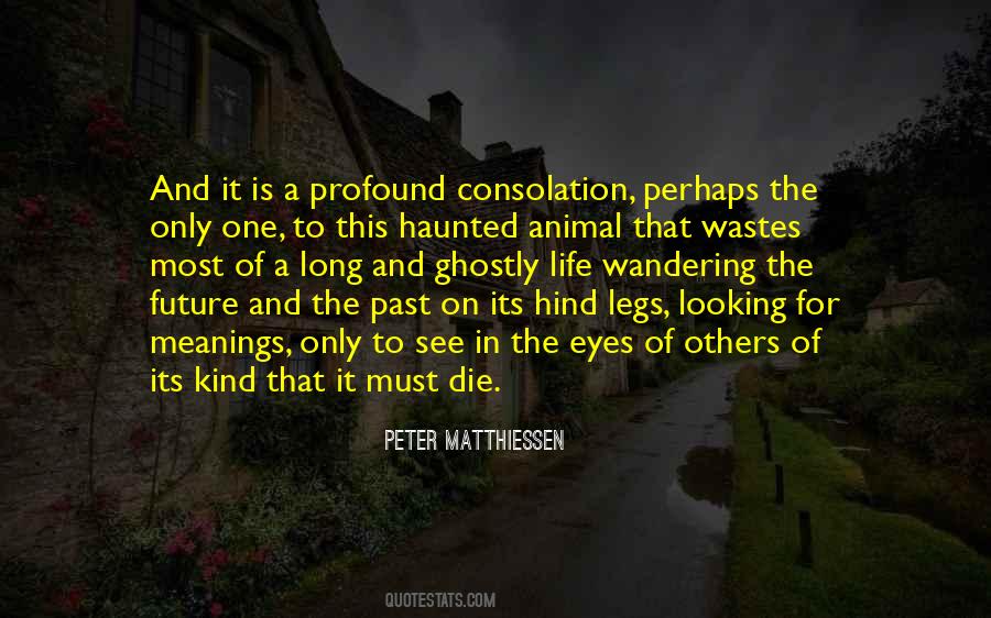 Quotes About Consolation In Death #1024238