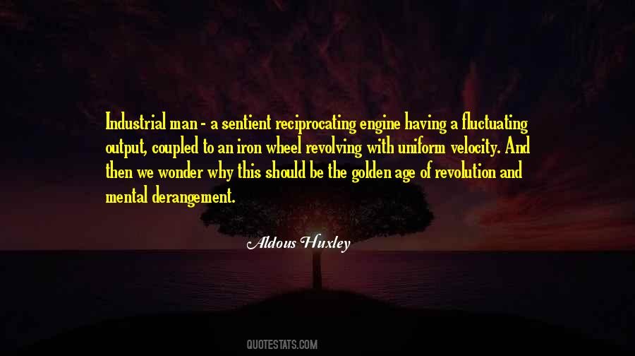 Quotes About Second Industrial Revolution #491449