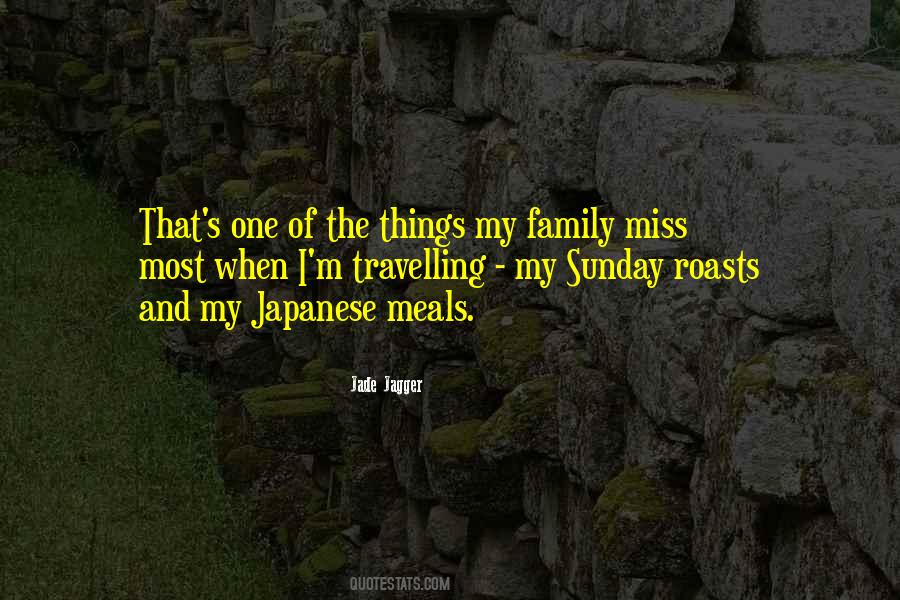 Quotes About I Miss My Family #909108