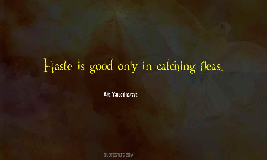 Tiger S Destiny Quotes #993058