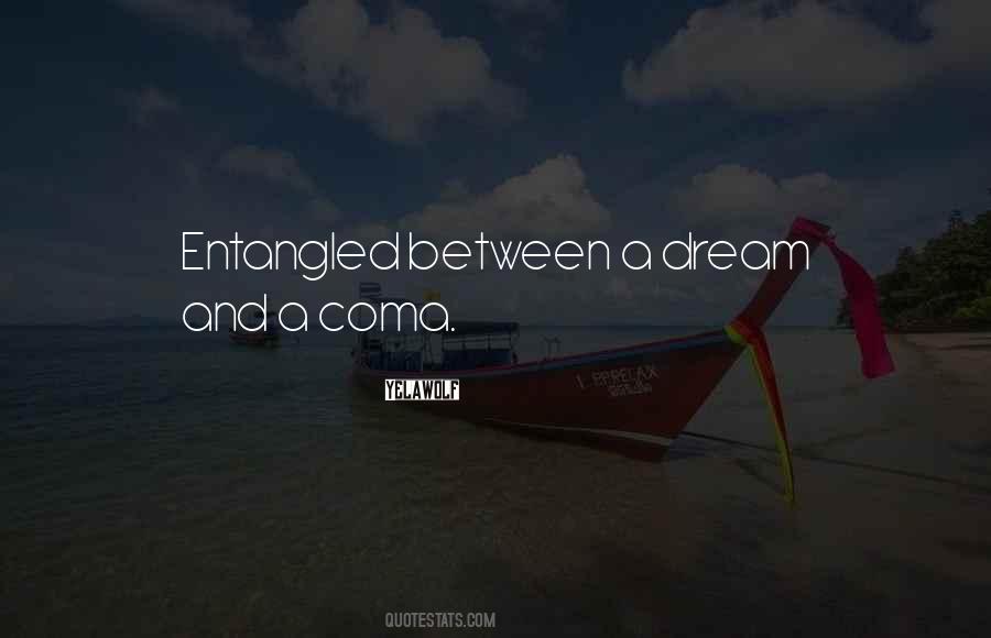 Goal Universe Understanding Quotes #1333574