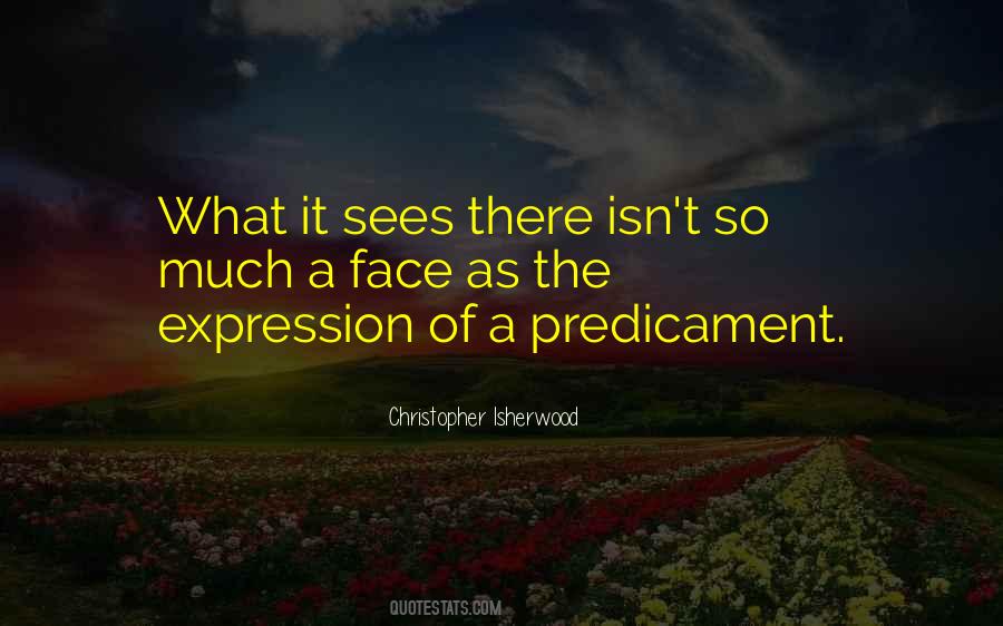 Quotes About Predicament #1145332