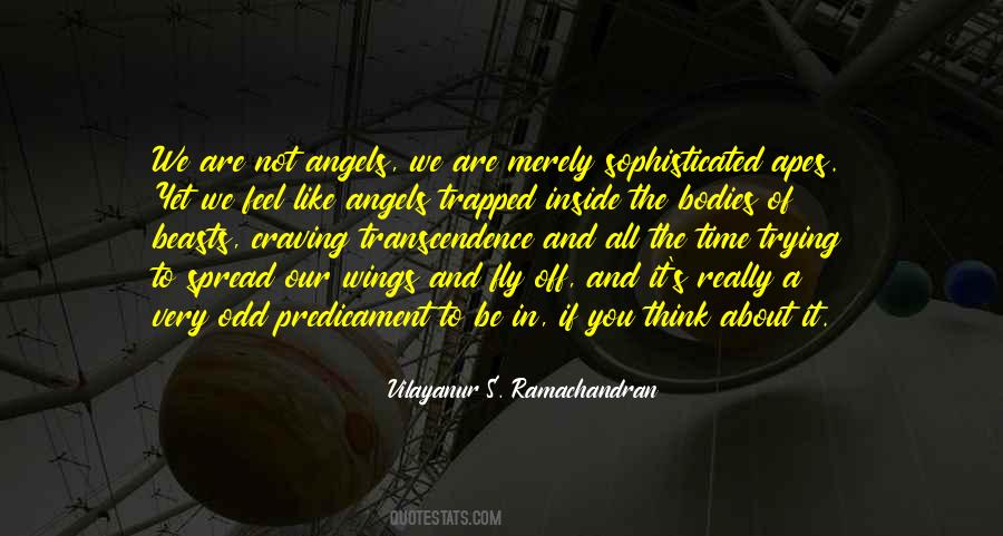 Quotes About Predicament #233294