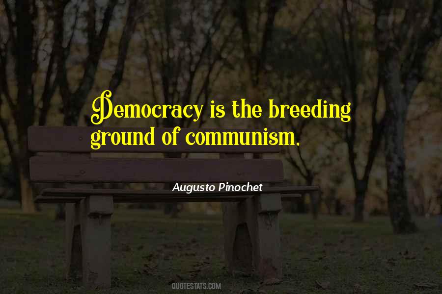 Quotes About Pinochet #1860297