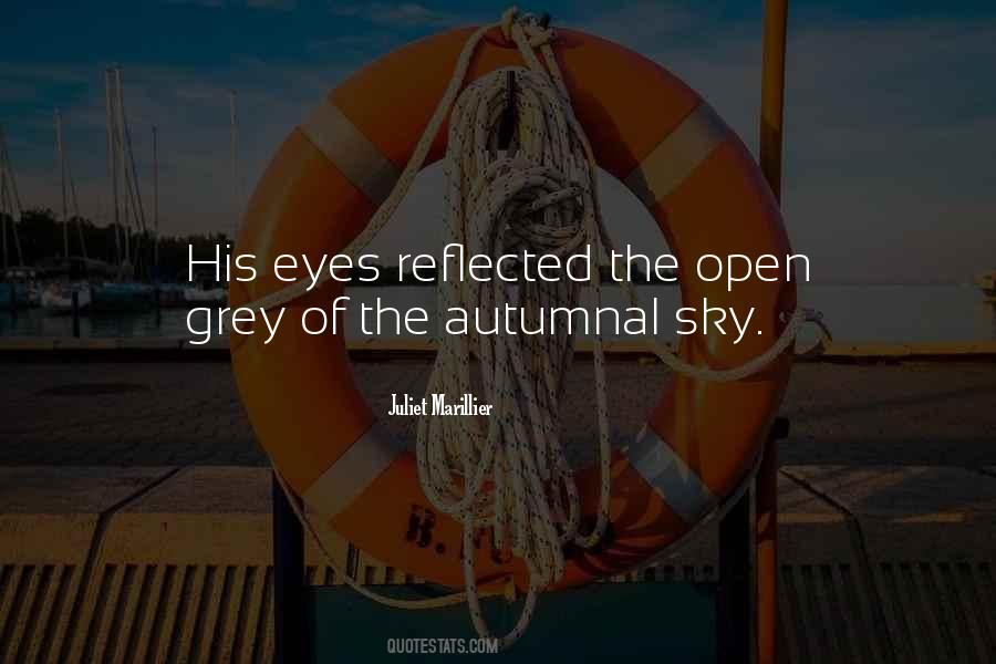 Quotes About Grey Eyes #1391178