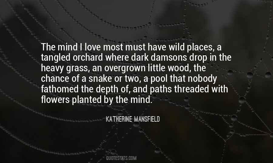 Quotes About Paths In Love #1365997