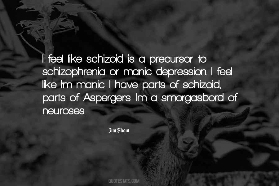 Quotes About Schizoid #184571