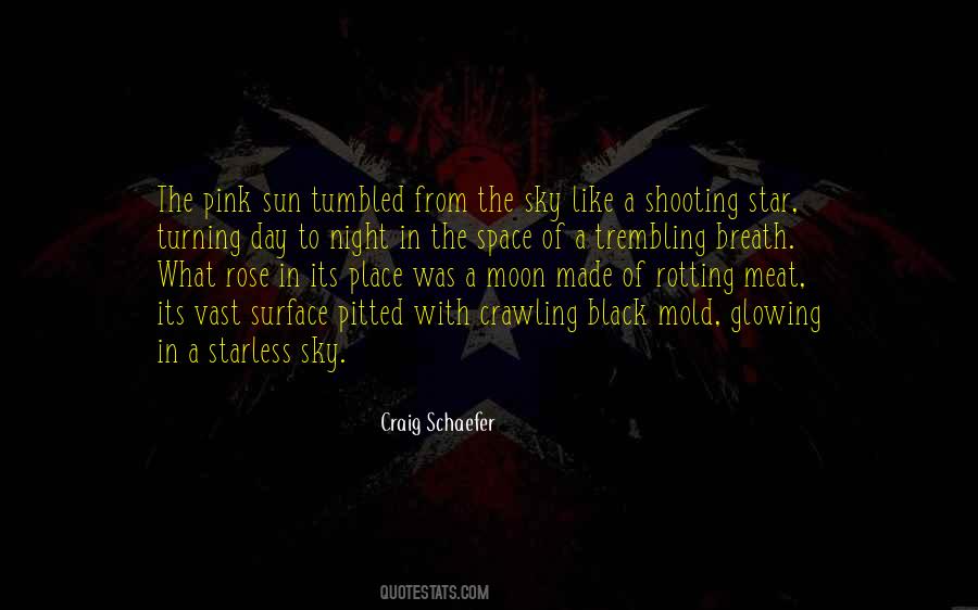 Quotes About A Black Rose #1438541