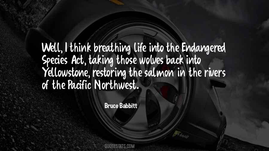 Quotes About Salmon #1276593