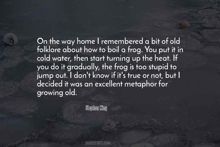 The Frog Quotes #246666