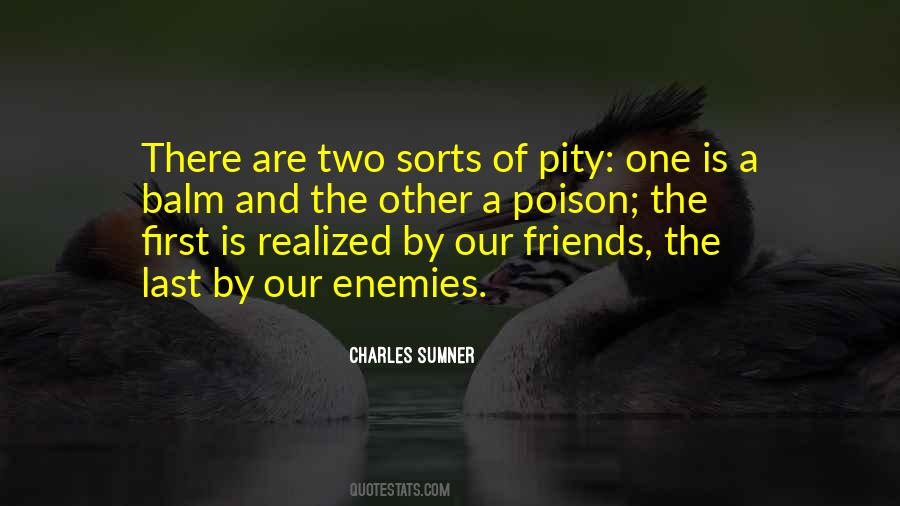 Quotes About Enemies And Friends #209588