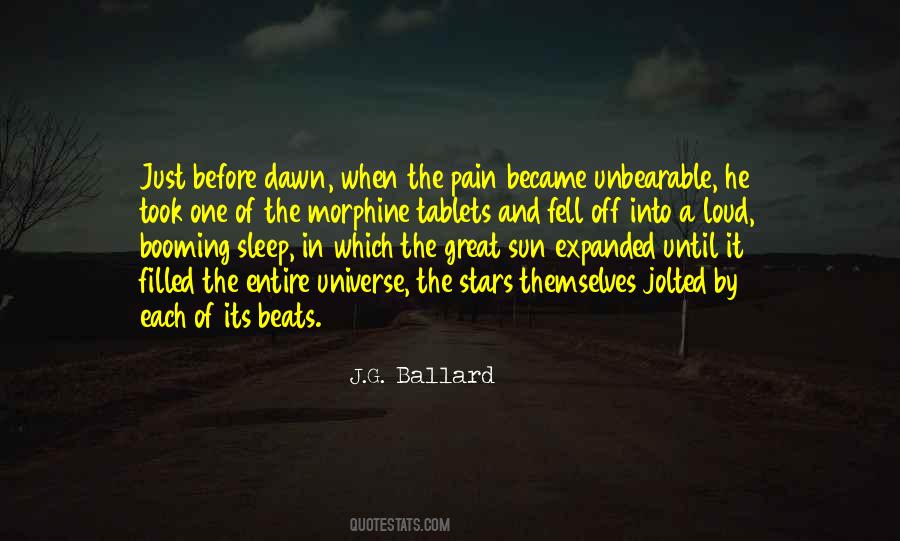 Quotes About Sleep And Pain #832759