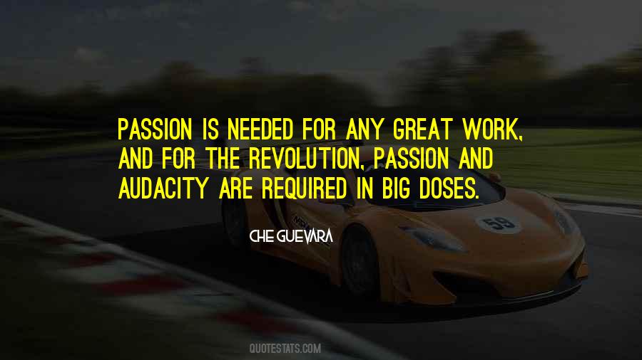 Quotes About Passion In Work #310673