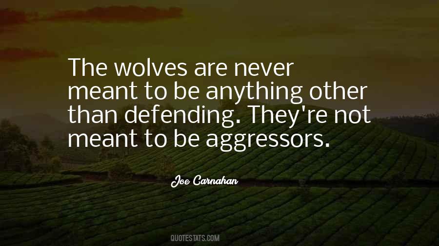 Quotes About Aggressors #560256