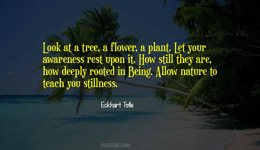 Quotes About Being In Nature #391515