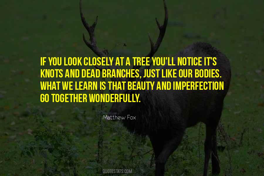 Quotes About Imperfection And Beauty #1797166