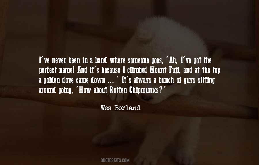 Borland Quotes #1094700