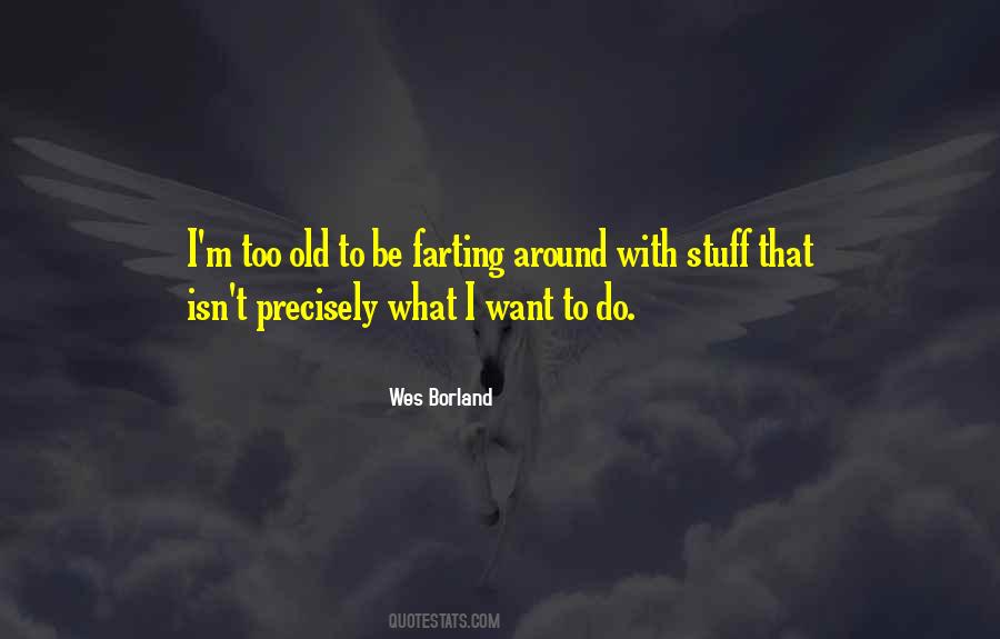 Borland Quotes #20077