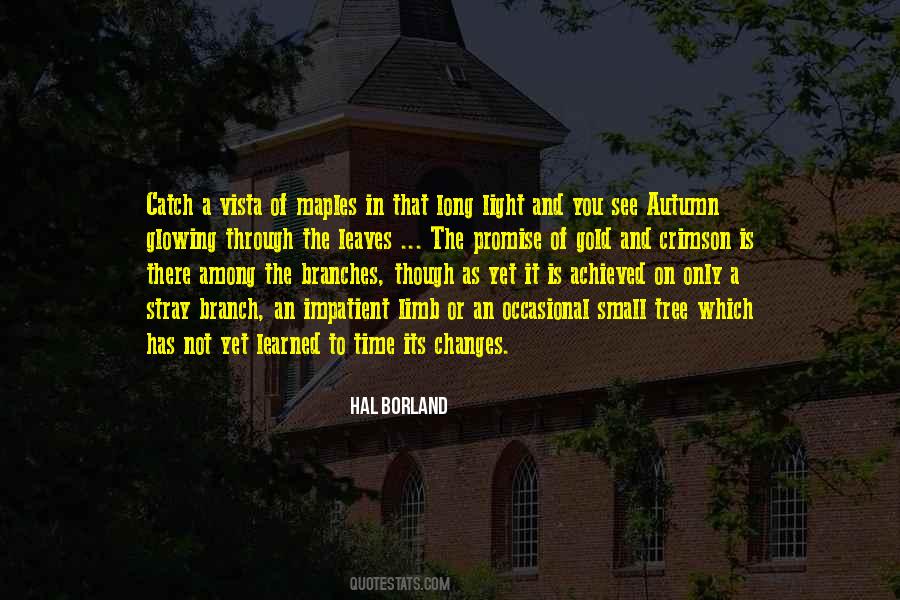 Borland Quotes #406321