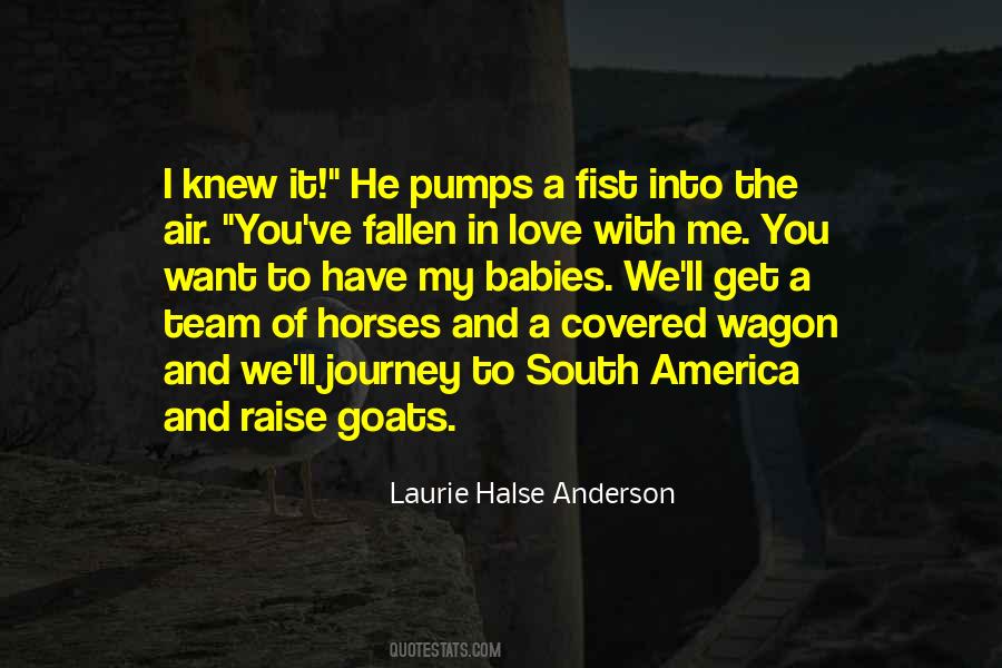 Love Horses Quotes #154733