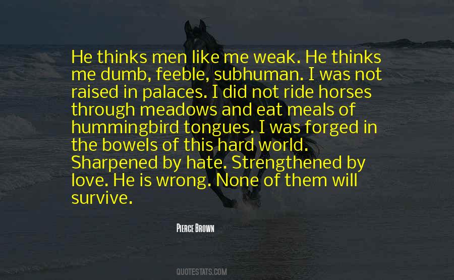 Love Horses Quotes #6383