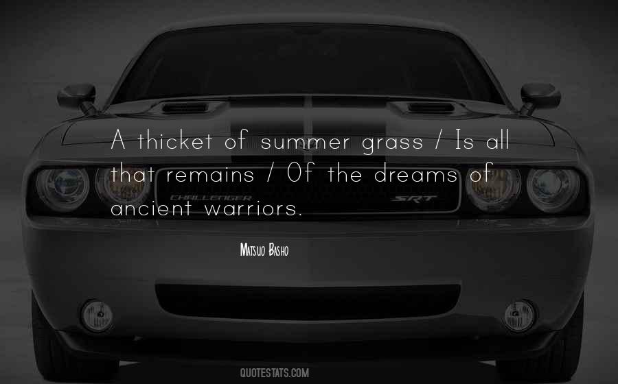 Summer Dream Quotes #276162
