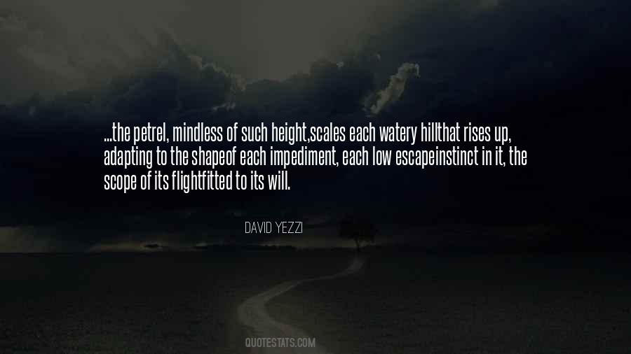 Height It Quotes #275177