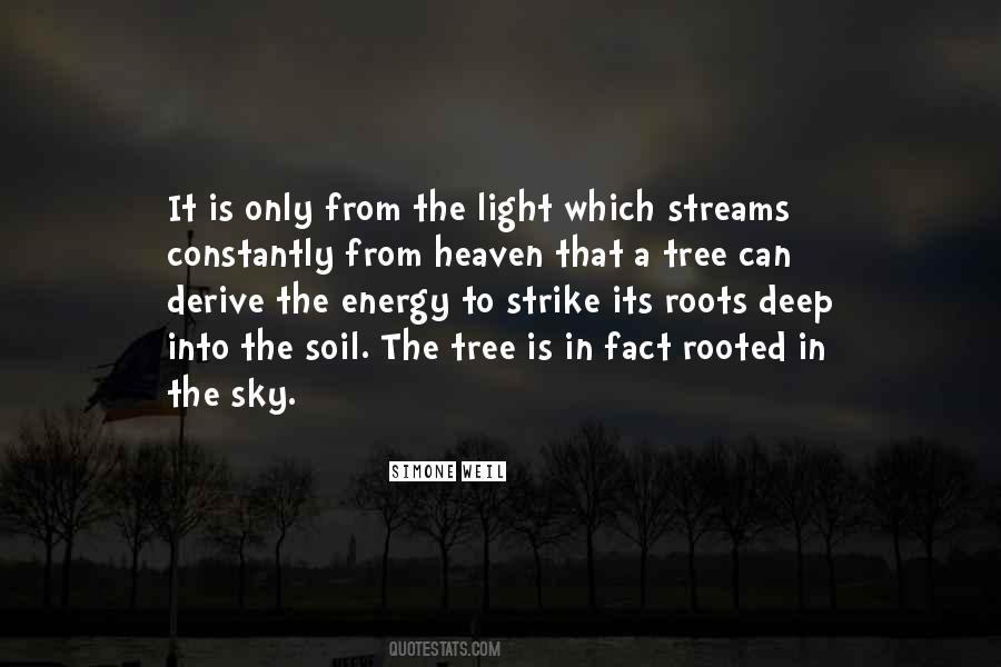 Quotes About Deep Roots #160111